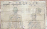AA038 경혈도