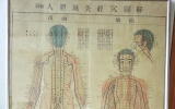 AA003 경혈도