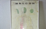 AA002 경혈도