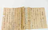 LA121 인삼이 언…