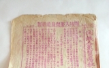 LB022 개성인삼…