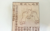 MF003 황봉입동…
